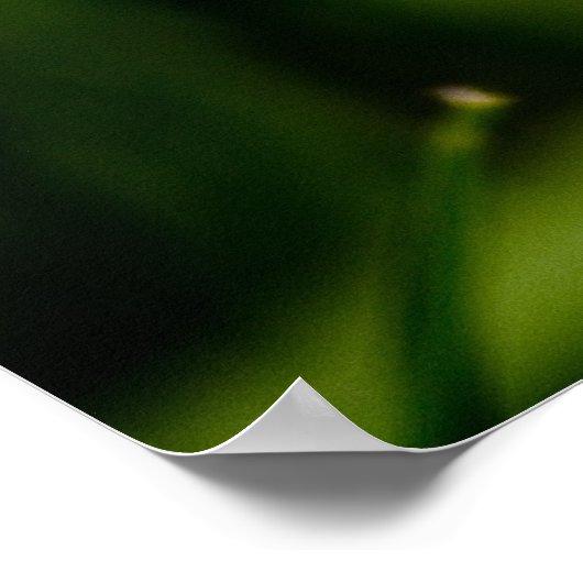 う吹ん ポスター (角)