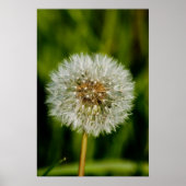 う吹ん ポスター (正面)