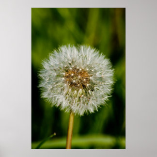 う吹ん ポスター