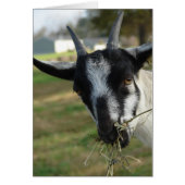 う～ん…ヘイ (正面)