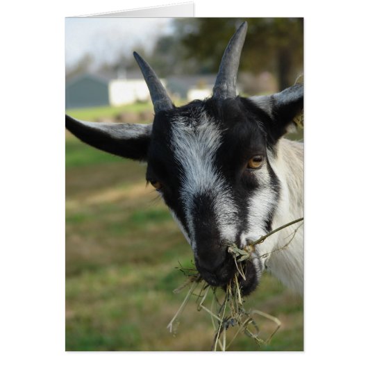 う～ん…ヘイ (正面)