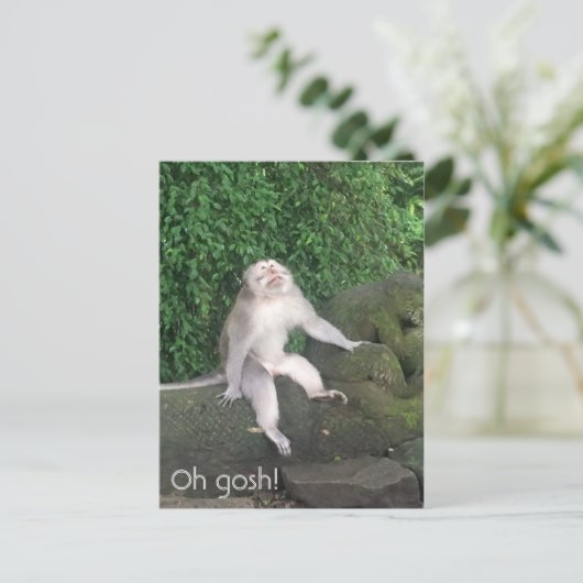 えっさわ猿 ポストカード (スタンド正面)