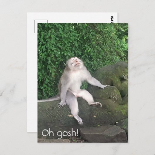 えっさわ猿 ポストカード (正面/裏面)