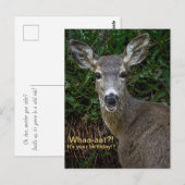 えっ何！？お誕生日なの！？ ポストカード (正面/裏面)