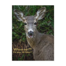えっ！まさかのバースデーカード！？ 「Whaa-aat?! It's Your Birthday!?