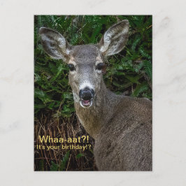 えっ！まさかのバースデーカード！？ 「Whaa-aat?! It's Your Birthday!? ポストカード