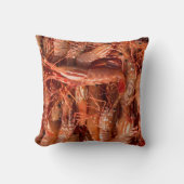 えび クッション (正面)