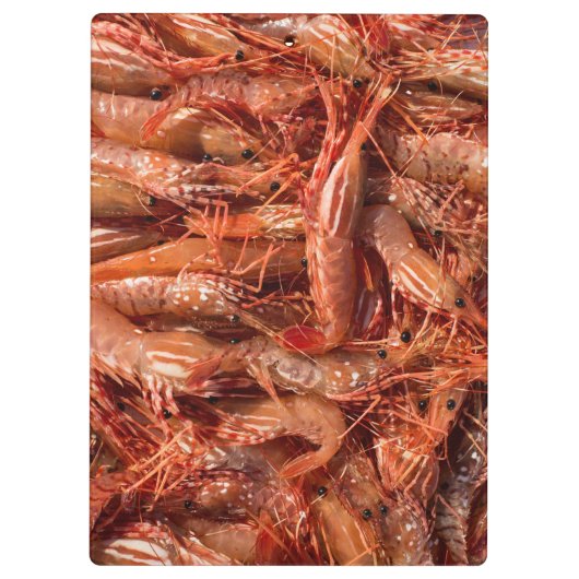 えび クリップボード (裏面)