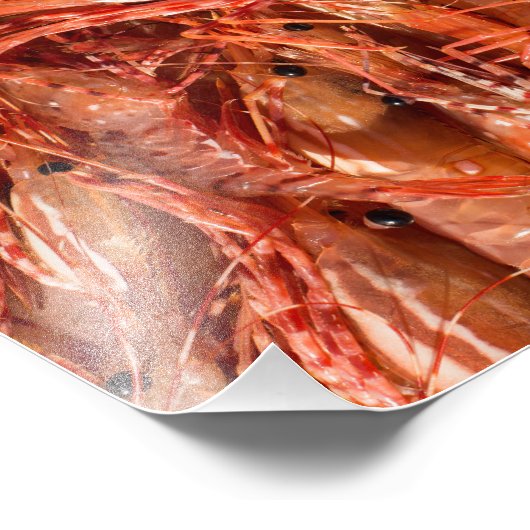 えび フォトプリント            (角)