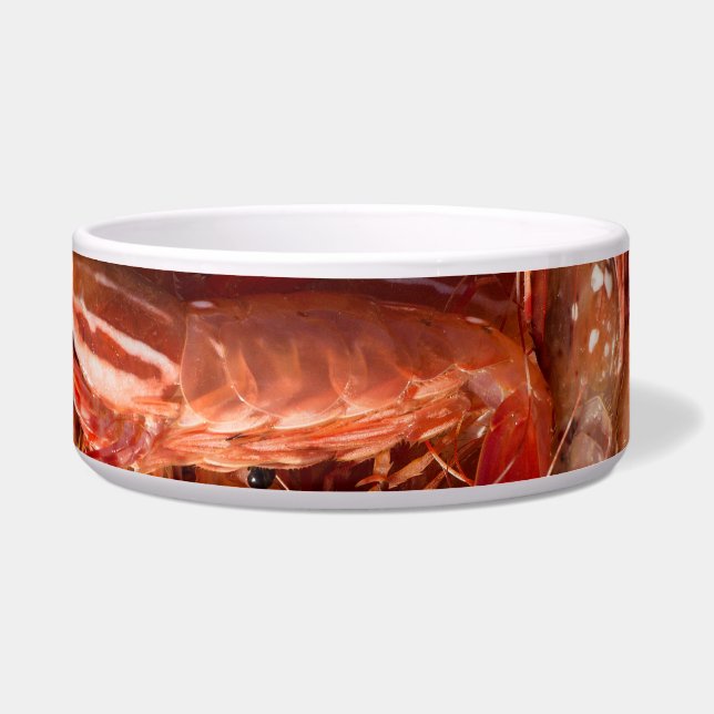 えび ボウル (正面)