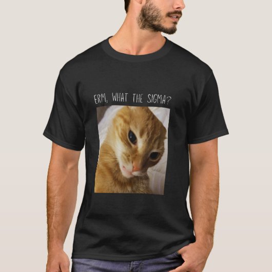 えーと、何だってシグマ 笑える猫のミーム Tシャツ (正面)