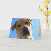 え？ カード (黄色い花)