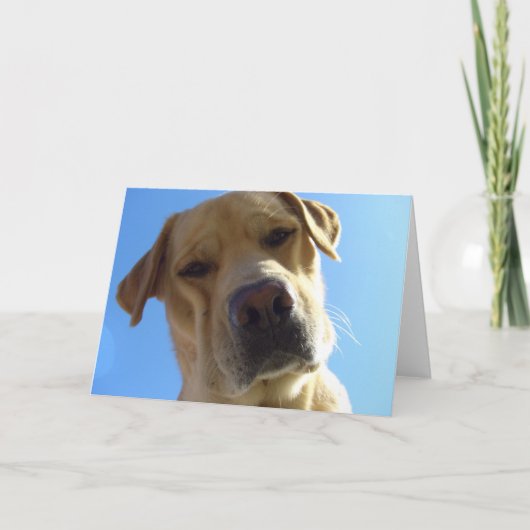 え？ カード (正面)