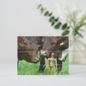 え？ ポストカード (スタンド正面)