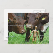 え？ ポストカード (正面/裏面)