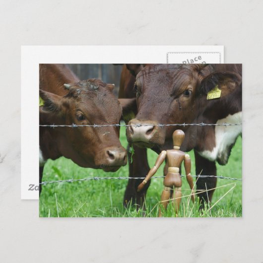 え？ ポストカード (正面/裏面)