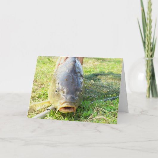 え？ – 鯉クローズアップ カード (正面)