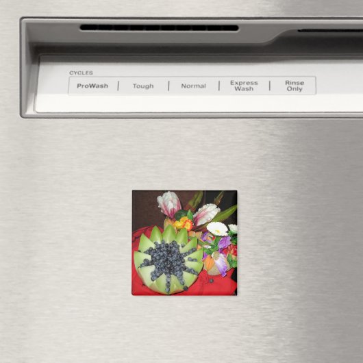 おいおい! マグネット (インサイチュ (食洗機))