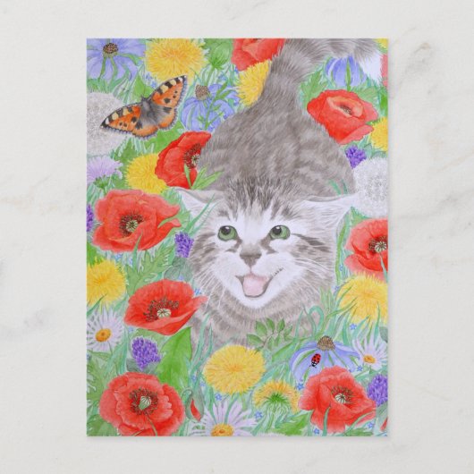 おいおもしろいだ！ ポストカード (正面)