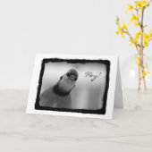 おいお恋しく思前! カード (黄色い花)