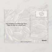 おいしいひまわりの種 ポストカード (裏面)