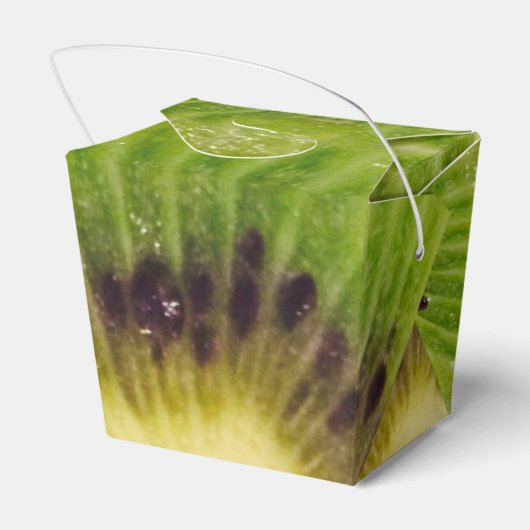 おいしいキウイグリーンフルーツ4カイル フェイバーボックス (裏面サイド)