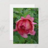 おいしいピンク色の牡丹 ノートカード (正面/裏面)