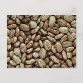 おいしいピント豆 ポストカード