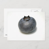 おいしいブルーベリー ポストカード (正面/裏面)