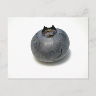 おいしいブルーベリー ポストカード