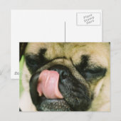 おいしいポストカード ポストカード (正面/裏面)