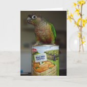 おいしいマンダリン カード (黄色い花)