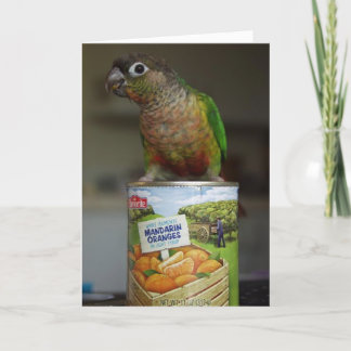 おいしいマンダリン カード