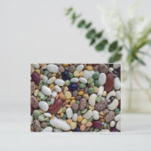 おいしいミックスビーンズ ポストカード (スタンド正面)