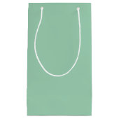 おいしいミントグリーン無地のカラー スモールペーパーバッグ (正面)