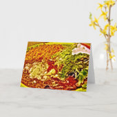 おいしいメキシコ料理 カード (黄色い花)