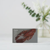 おいしいロブスター 名刺 (スタンド正面)