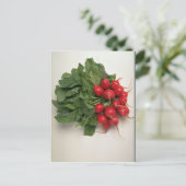 おいしい大根 ポストカード (スタンド正面)