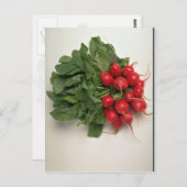 おいしい大根 ポストカード (正面/裏面)