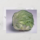 おいしい氷山レタス ポストカード (正面/裏面)