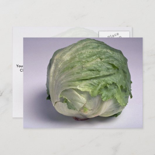 おいしい氷山レタス ポストカード (正面/裏面)