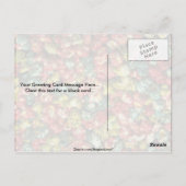 おいしい色のポップコーン ポストカード (裏面)