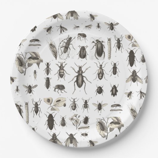 おいしい虫のおもしろいな昆虫の子供の誕生日のプレート ペーパープレート (正面)