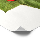 おいしい赤さくらんぼフルーツウォーター絵画の色 ポスター (角)