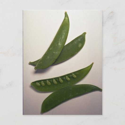 おいしい雪エンドウ ポストカード (正面)