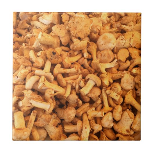 おいしい黄色のキノコ タイル (正面)