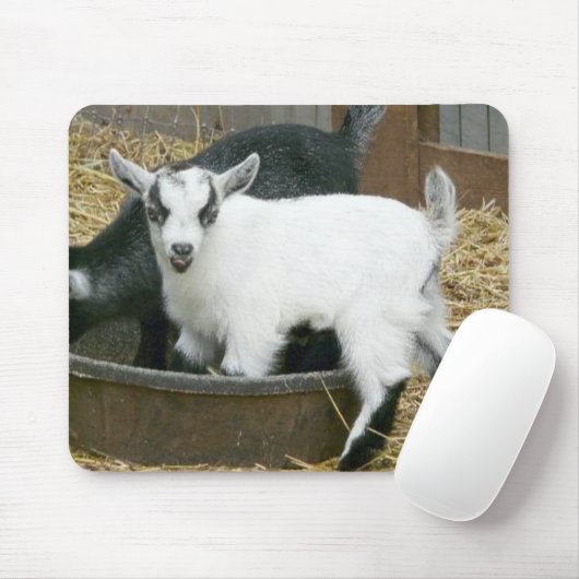 おいしい! マウスパッド (マウス)