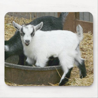 おいしい! マウスパッド