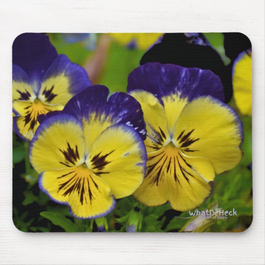 おいしい マウスパッド (正面)