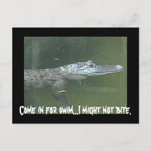 おいで...ポストカード ポストカード (正面)